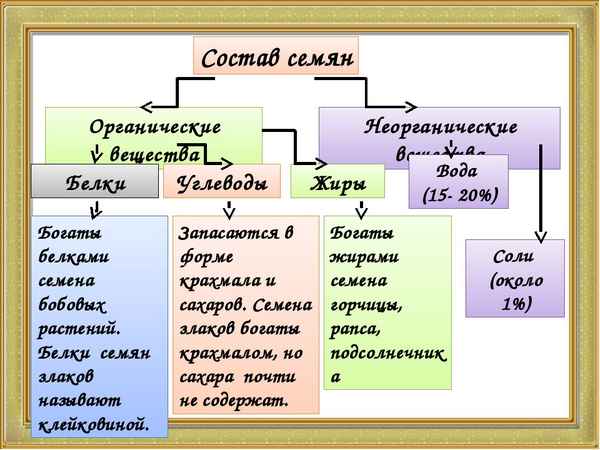 
    Открытый урок по теме "Органические вещества семени". 6-й класс

      