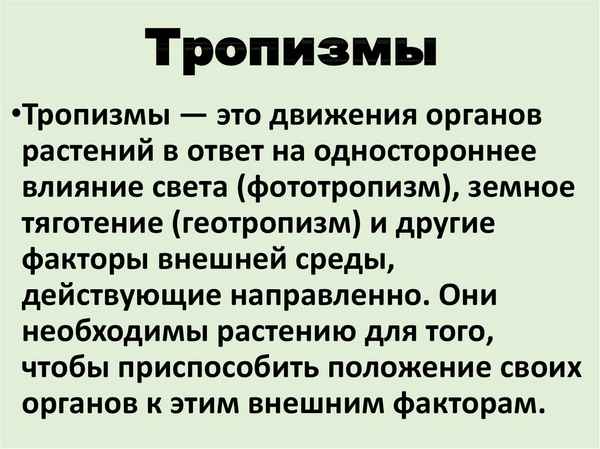 
    Урок биологии в 7-м классе  "Тропизмы простейших"

      