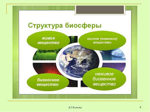 
    Обобщающий урок биологии  "Биосфера, ее структура и функции"

      