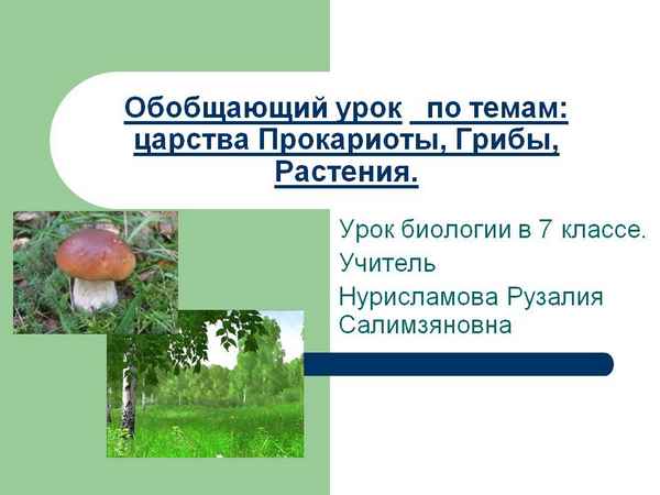
    Обобщающий урок по теме "Царства прокариоты. Грибы. Растения". 7-й класс

      