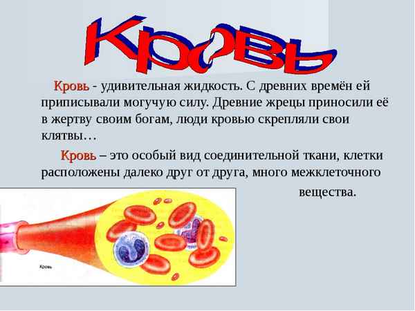 
    Урок биологии в 6-м классе "Кровь – это есть совсем особый сок…"

      