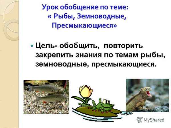 
    Повторение и обобщение по теме "Класс пресмыкающиеся"

      