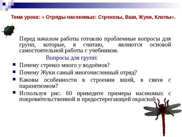
    Литературно-биологическое исследование по теме "Отряды насекомых. Стрекозы. Вши. Жуки. Клопы"

      