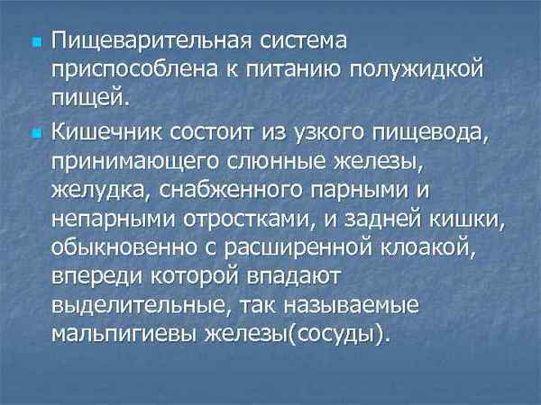 
    Урок биологии по теме "Органы пищеварения. Обмен веществ и превращение энергии". 7-й класс

      
