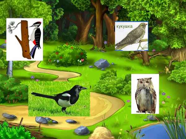 
    Игра по теме "Путешествие по лесной тропинке родного края"

      