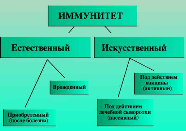 
    Конспект урока биологии по теме "Иммунитет. Виды иммунитета". 8-й класс

      