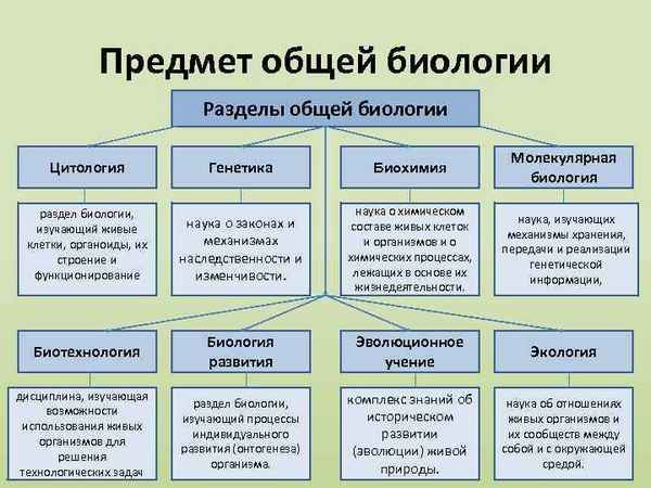 
    Программа элективного курса по биологии "Основы цитологии и генетики"

      