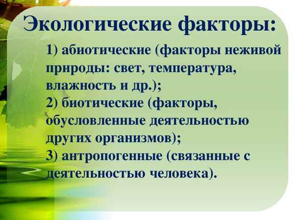 
    Урок по теме "Экология как наука. Экологические факторы"

      