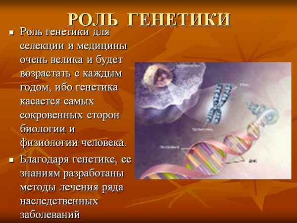 
    Урок-семинар "Генетика и медицина"

      