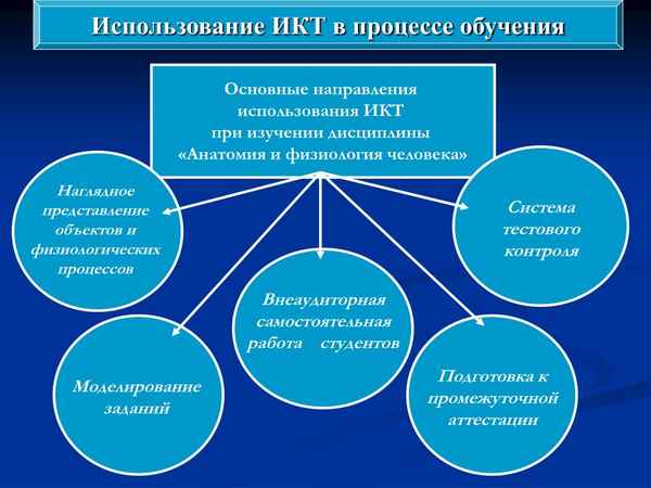 
    Самостоятельная работа студентов как необходимый компонент формирования компетенций при изучении анатомии и физиологии человека

      