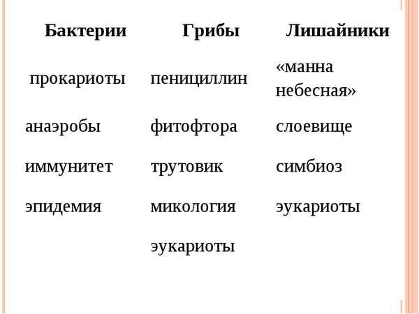 
    Обобщающий урок по теме "Прокариоты: бактерии. Грибы. Лишайники"

      