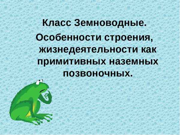 
    "Класс Земноводные. Особенности строения и жизнедеятельности как примитивных наземных позвоночных"

      