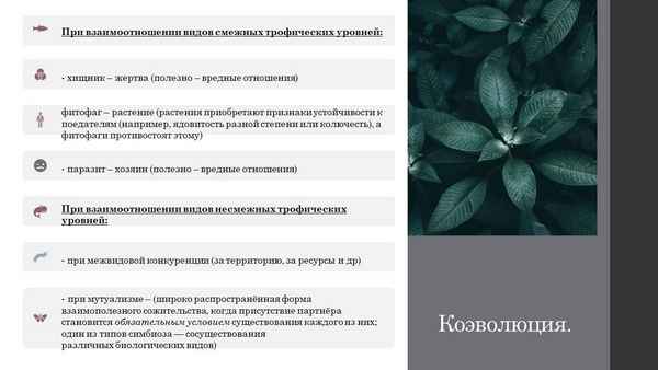 
    Урок-лекция по теме "Совместная жизнь видов в биогеоценозе". 10-й класс

      