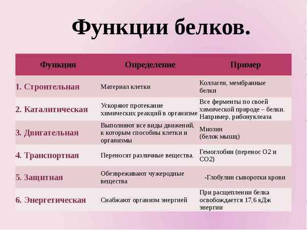 
    "Свойства и функции белков". 10-й класс

      