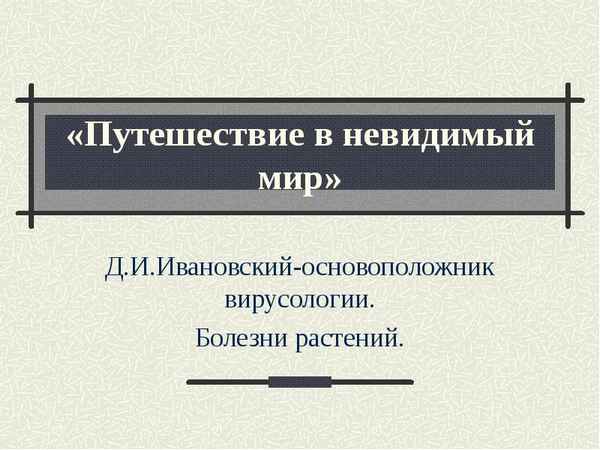 
    Путешествие в невидимый мир

      