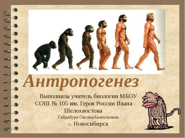 
    Антропогенез. Урок биологии в профильном естественно-научном классе. 11-й класс

      