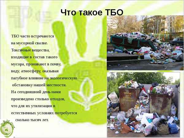 
    Внеклассное мероприятие к  Году окружающей среды "Жизнь без мусорных свалок возможна"

      