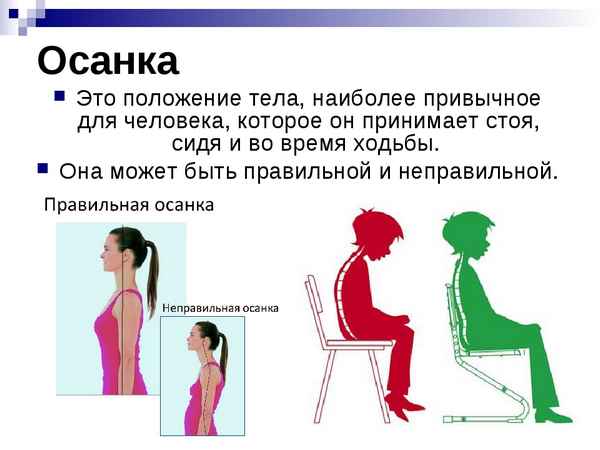 
    Урок по теме "Осанка. Нарушение осанки"

          <img src="/img/contest-medal-icon.png" title="Лауреат" width="16" height="16">
      