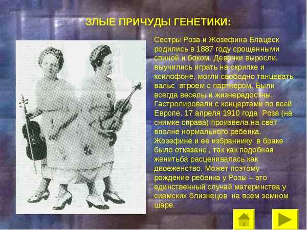 
    Урок биологии по теме "Злые причуды генетики"

      