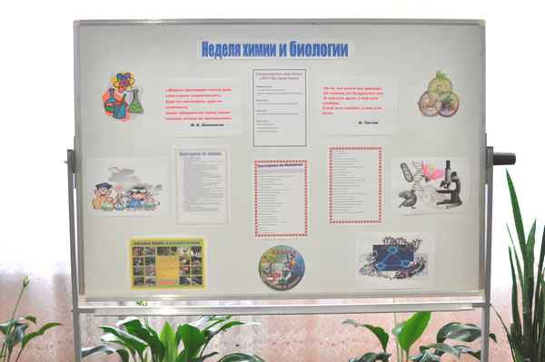 
    Внеклассное мероприятие. Вечер, приуроченный к неделе биологии в школе, "В мире животных"

      