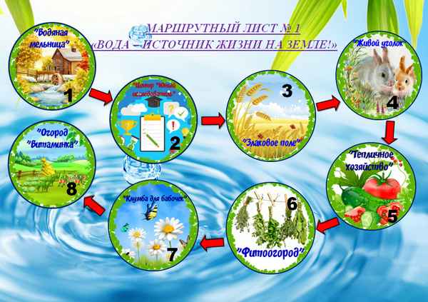 
    Методическая разработка урока-экскурсии на школьной экологической тропе по теме "Знакомство с лекарственными растениями"

      