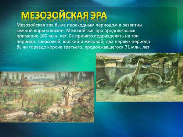 
    Развитие жизни в Мезозойскую эру

      