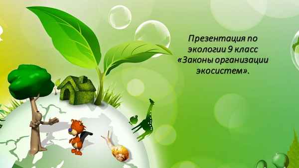 
    Интегрированный урок (биология + экология) по теме "Как помочь природе?" 9-й класс

      