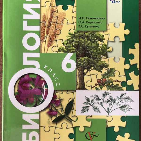 
    "Цветок". Урок биологии в 6-м классе по программе И.Н. Пономаревой

      