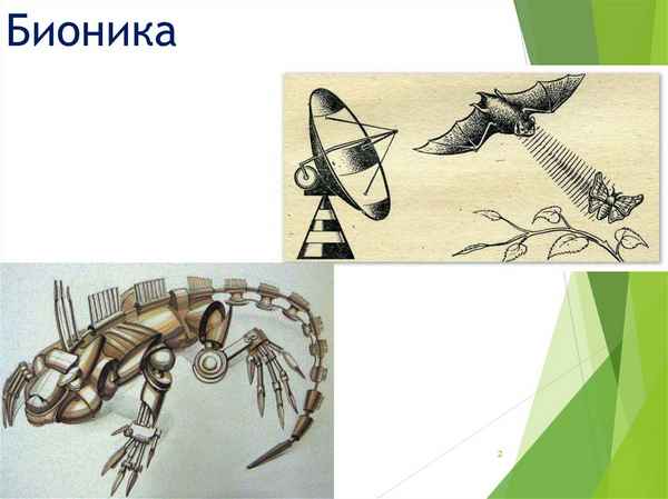 
    Занятие кружка биологии «Бионика». Тема занятия: «Свойства воды». 5-й класс

      