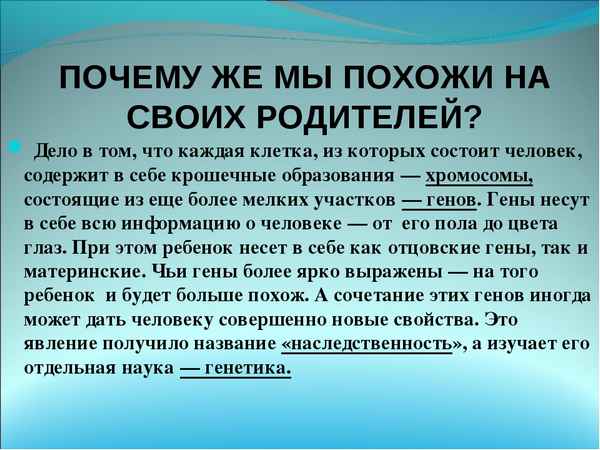 
    «Почему дети похожи на родителей». 5-й класс

      