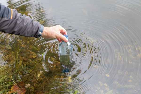 
    Состояние и способы восстановления экосистемы Золинского пруда. Ульяновская область, Барышский район

      