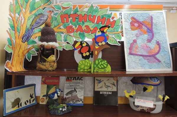 
    Внеклассное мероприятие по экологии «Птичья елка»

      