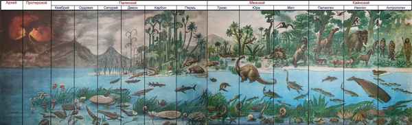 
    Интегрированный урок "Развитие жизни на Земле"

      