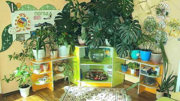 
    Организация уголка живой природы в учреждении дополнительного образования детей

      