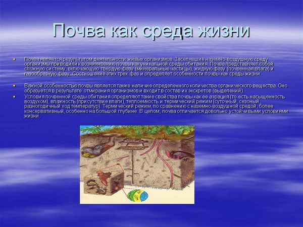 
    «Почва как среда жизни». 5-й класс

      