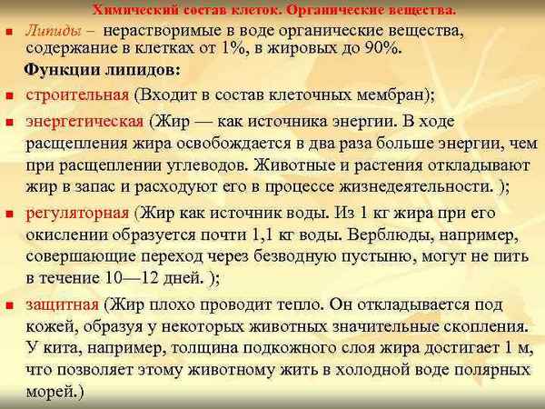 
    Химический состав клетки. Углеводы, липиды, их роль в жизнедеятельности клетки

      