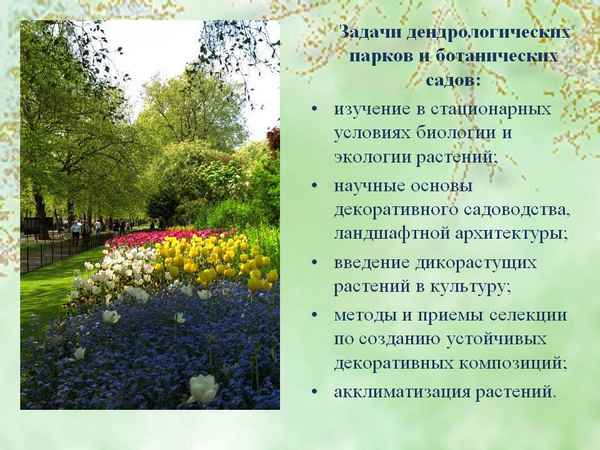 
    Методическая разработка урока по теме "Ботанический математический сад"

      