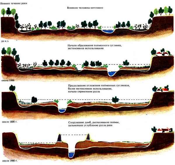 Деятельность человека: влияние на воспроизведение популяций