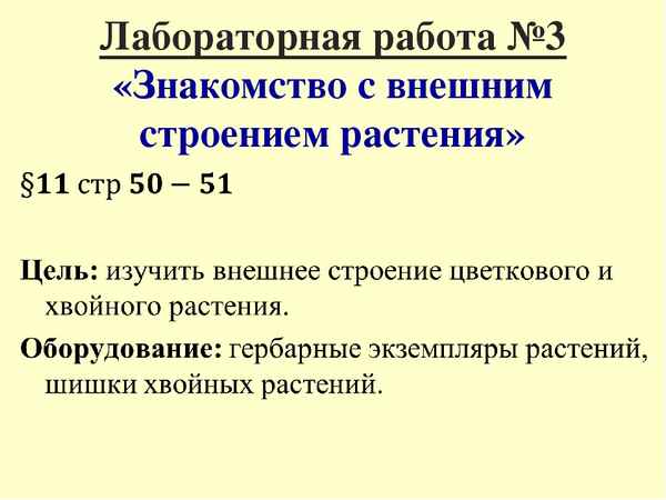 
    Лабораторная работа №3 "Знакомство с внешним строением растения". 5-й класс

      