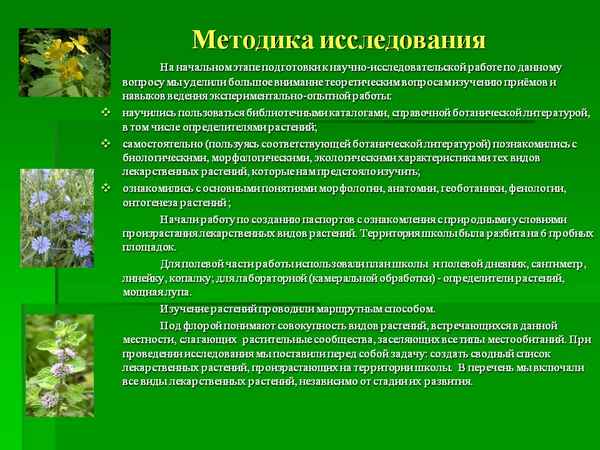 
    Растения как объекты исследования школьников при изучении агротехнологии

      