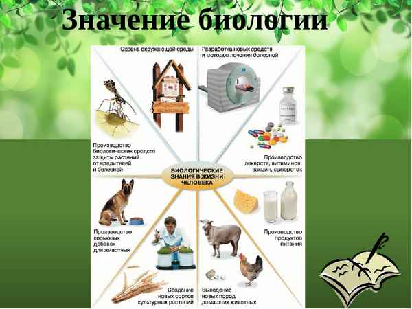 
    Значение биологических знаний для повседневной жизни и пpaктической деятельности. 6-й класс

      