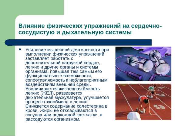 
    Влияние физкультуры и спорта на состояние дыхательной и сердечно-сосудистой систем восьмиклассников

      