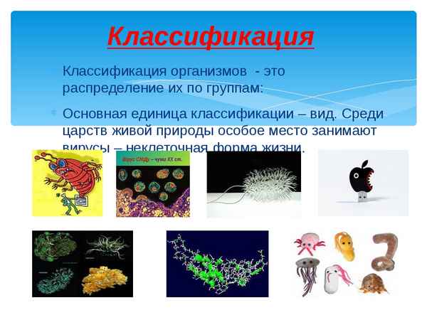 
    Конспект открытого урока биологии в 7-м классе

      