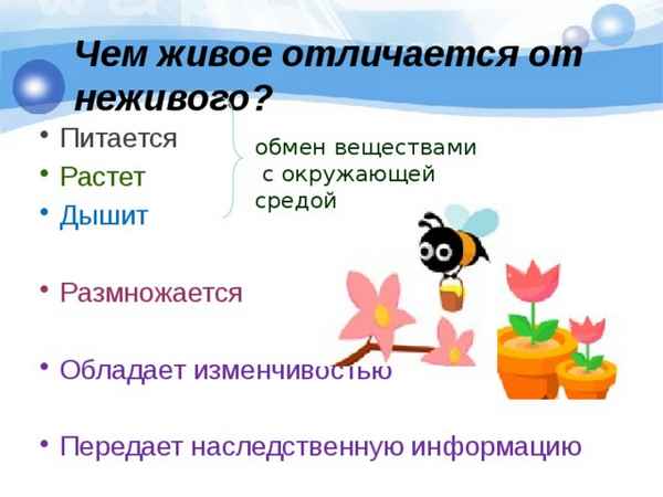 
    Как можно отличить живое от неживого? Подведём итоги (по технологии педагогической мастерской)

      