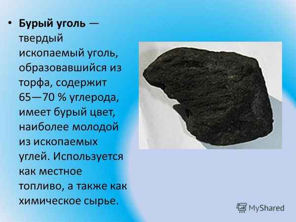 
    Урок биологии на тему "Полезные ископаемые. Каменный уголь"

      