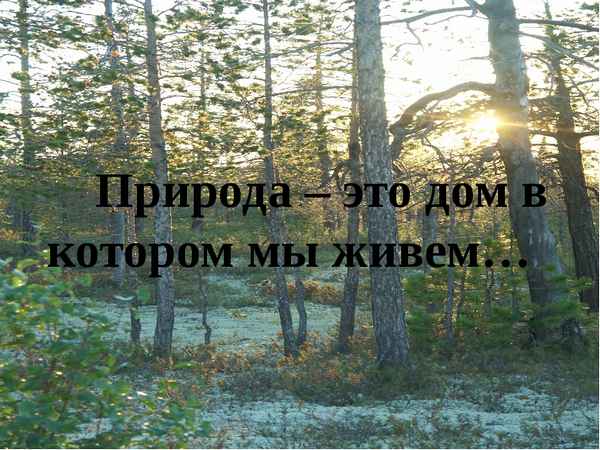 
    Природа – дом, в котором мы живём!

      