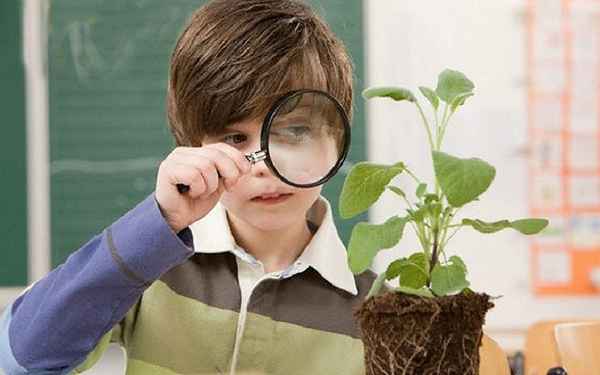 
    Изучение школьниками природы края на уроках биологии в среднем звене

      