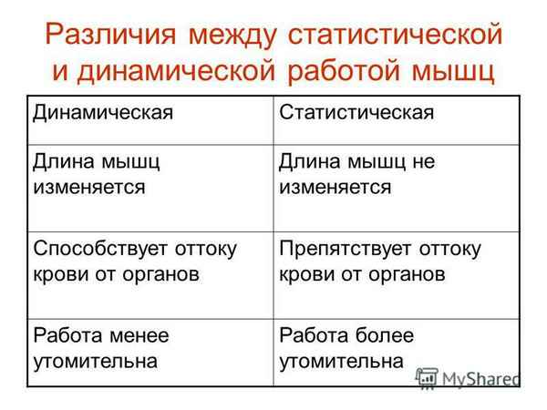 
    Урок биологии «Работа мышц. Статистическая и динамическая нагрузки». 8-й класс

      