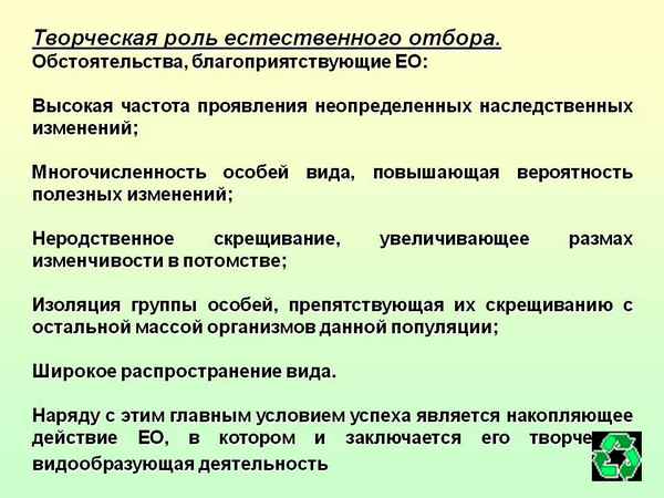 Творческая роль естественного отбора