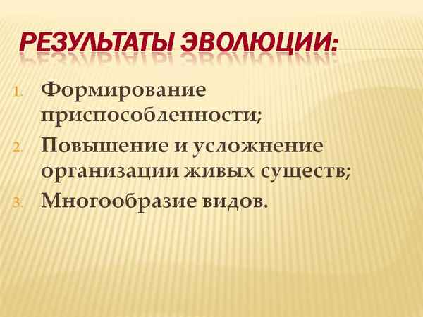 Результаты эволюции